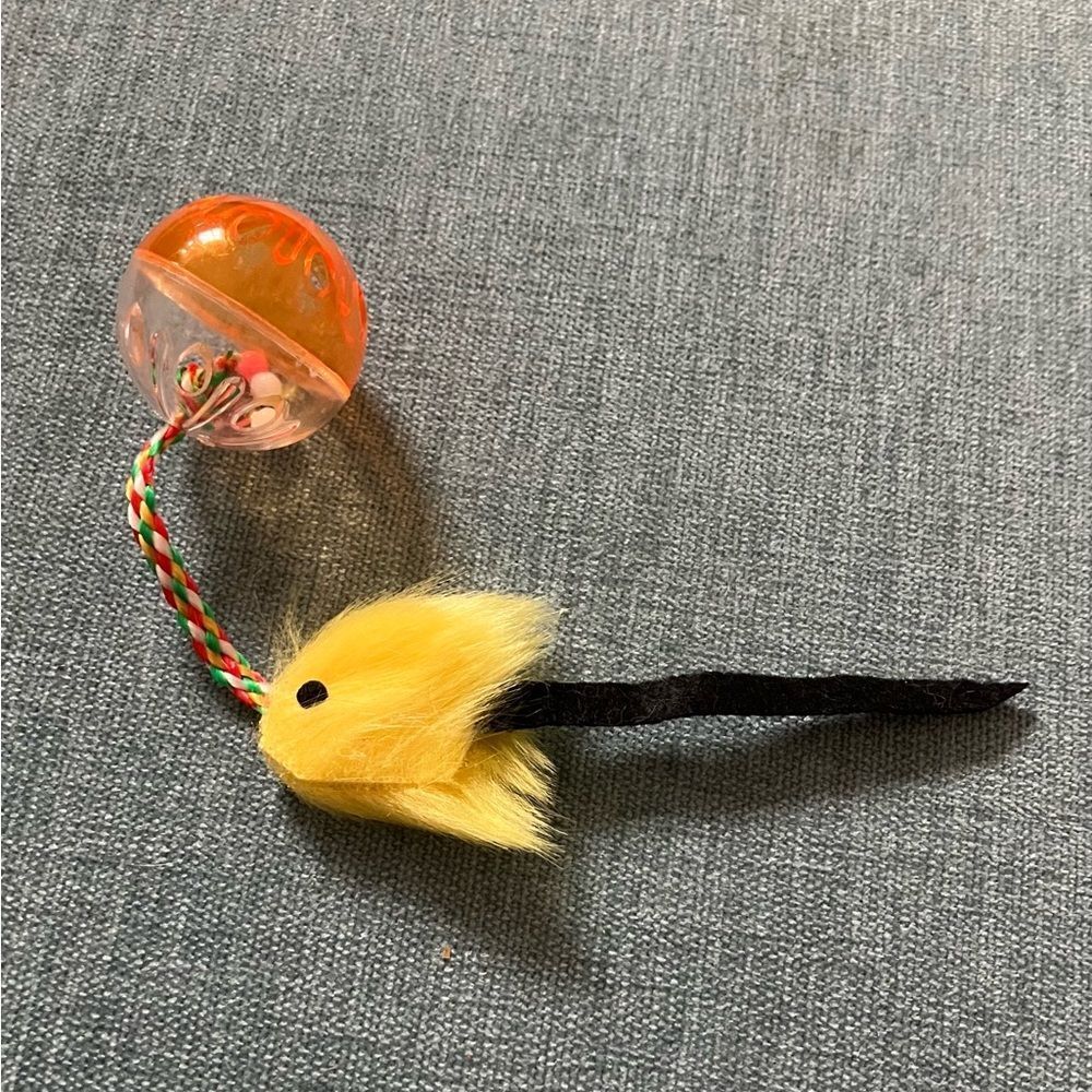 New Cat Toy